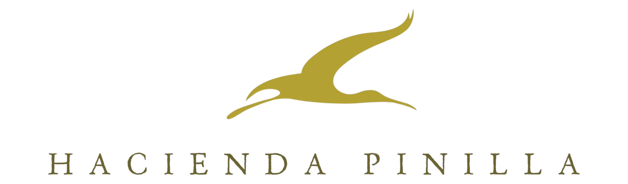 Pinilla